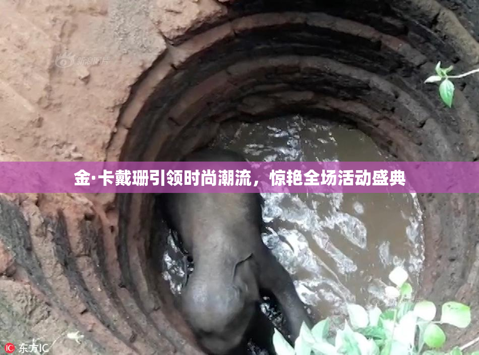 金·卡戴珊引领时尚潮流，惊艳全场活动盛典