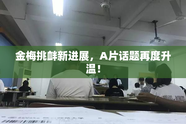 金梅挑衅新进展，A片话题再度升温！