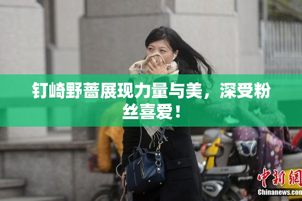 钉崎野蔷展现力量与美，深受粉丝喜爱！