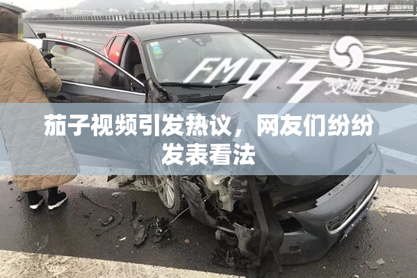 茄子视频引发热议，网友们纷纷发表看法