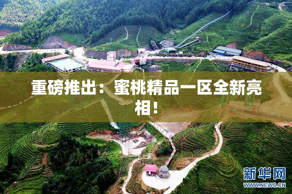 重磅推出：蜜桃精品一区全新亮相！