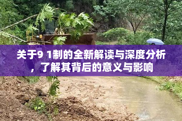 关于9 1制的全新解读与深度分析，了解其背后的意义与影响