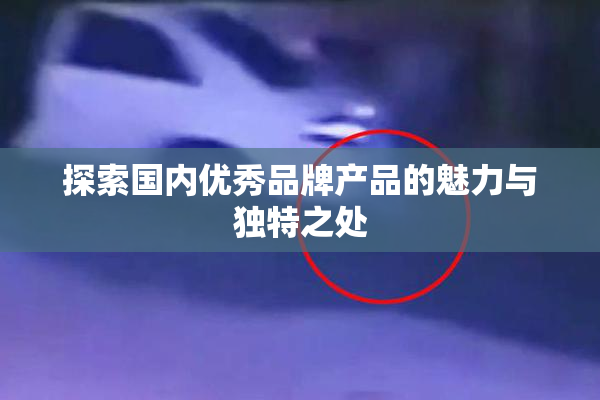探索国内优秀品牌产品的魅力与独特之处