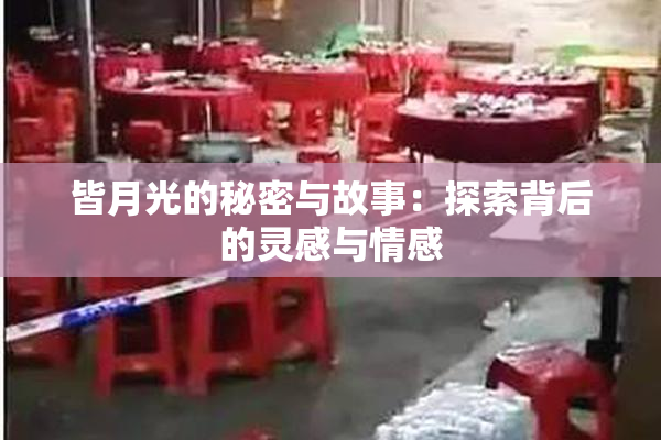 皆月光的秘密与故事：探索背后的灵感与情感