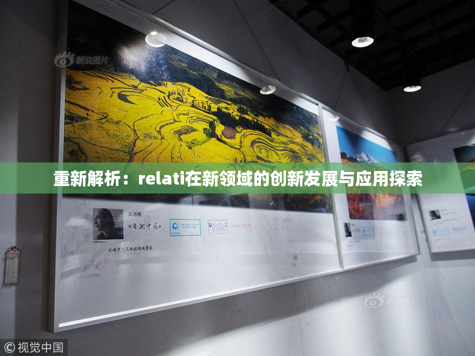 重新解析：relati在新领域的创新发展与应用探索