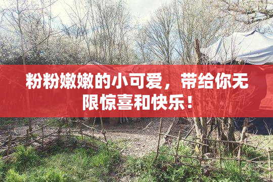 粉粉嫩嫩的小可爱，带给你无限惊喜和快乐！