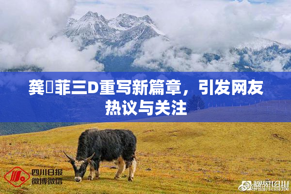 龚玥菲三D重写新篇章，引发网友热议与关注
