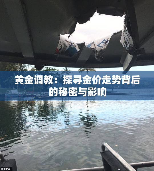 黄金调教：探寻金价走势背后的秘密与影响