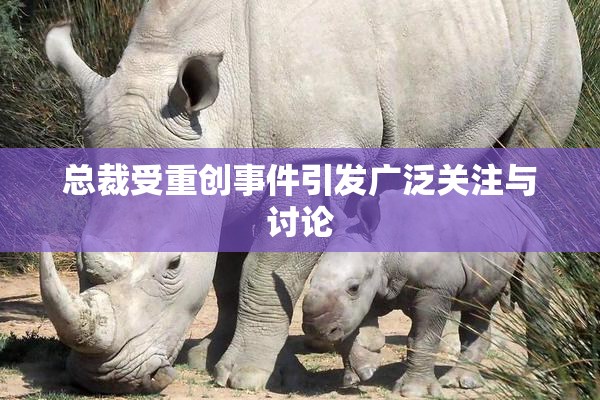 总裁受重创事件引发广泛关注与讨论