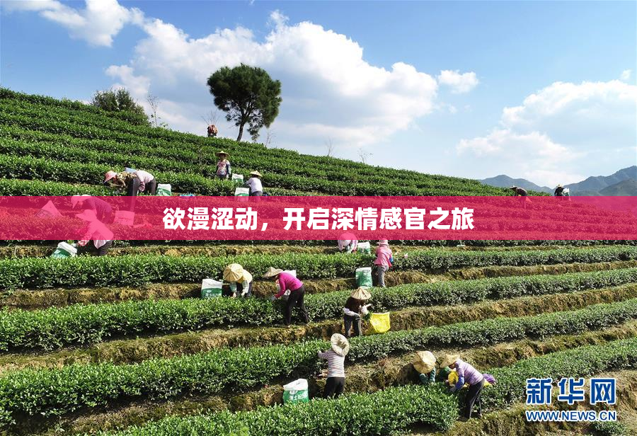 欲漫涩动，开启深情感官之旅