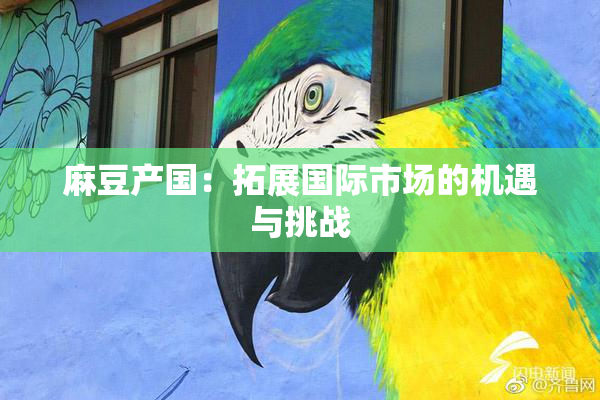 麻豆产国：拓展国际市场的机遇与挑战
