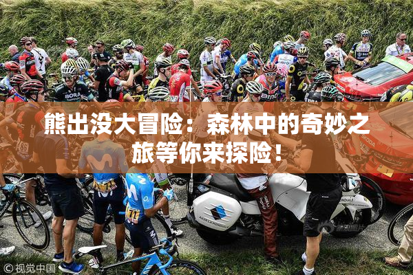 熊出没大冒险：森林中的奇妙之旅等你来探险！