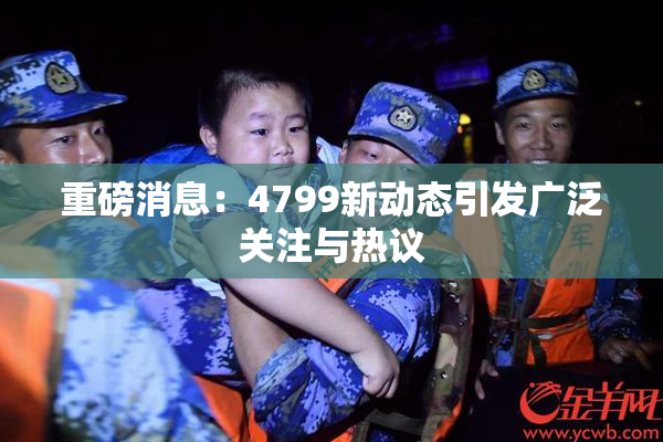 重磅消息：4799新动态引发广泛关注与热议
