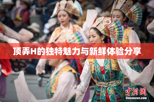 顶弄H的独特魅力与新鲜体验分享