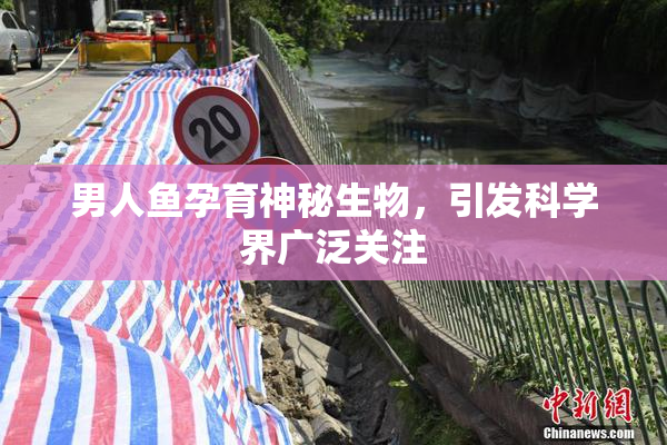男人鱼孕育神秘生物，引发科学界广泛关注