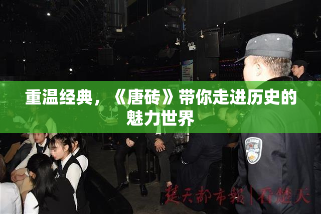 重温经典，《唐砖》带你走进历史的魅力世界