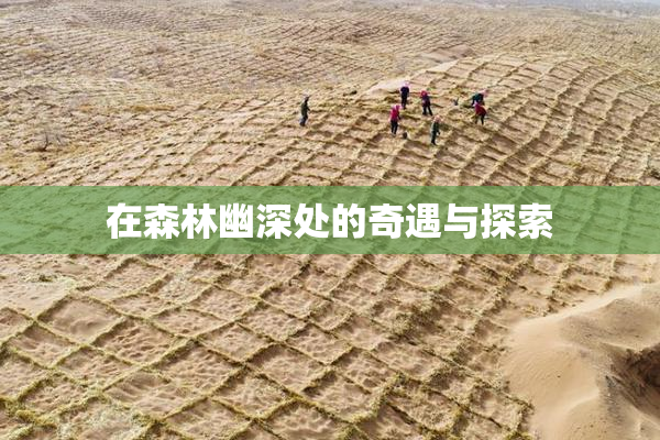 在森林幽深处的奇遇与探索