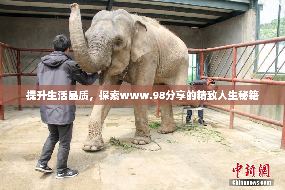提升生活品质，探索www.98分享的精致人生秘籍