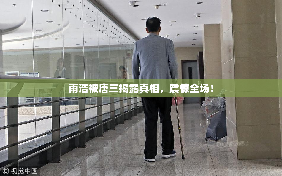 雨浩被唐三揭露真相，震惊全场！