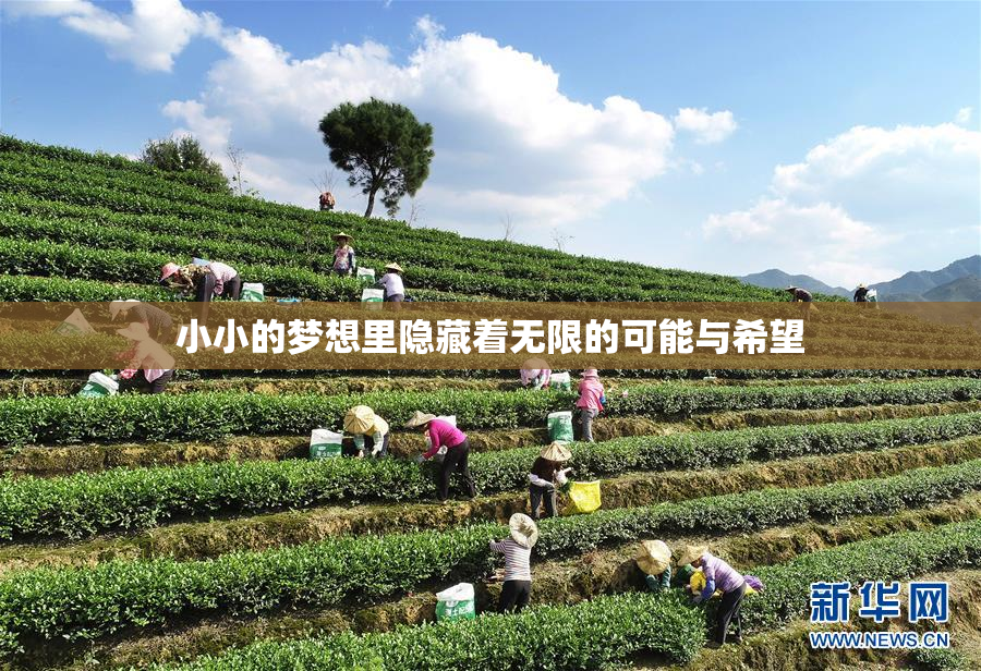 小小的梦想里隐藏着无限的可能与希望