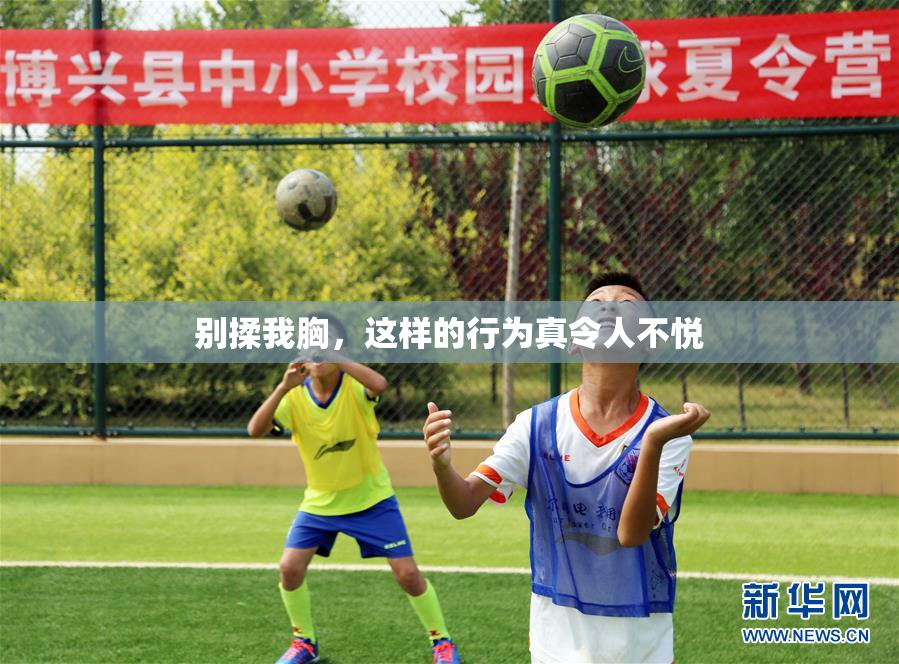 别揉我胸，这样的行为真令人不悦