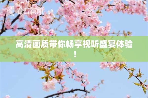 高清画质带你畅享视听盛宴体验！