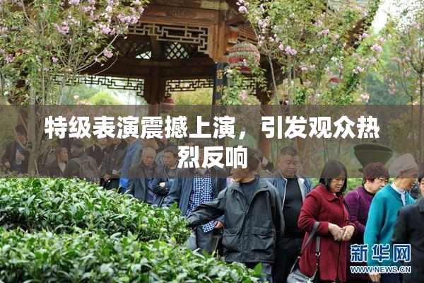 特级表演震撼上演，引发观众热烈反响