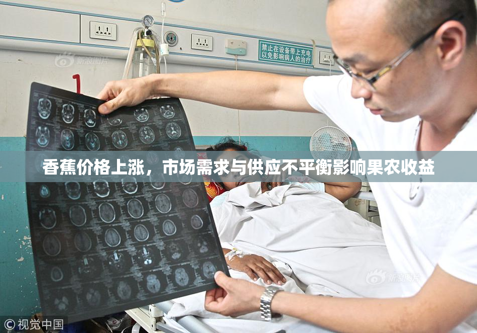 香蕉价格上涨，市场需求与供应不平衡影响果农收益