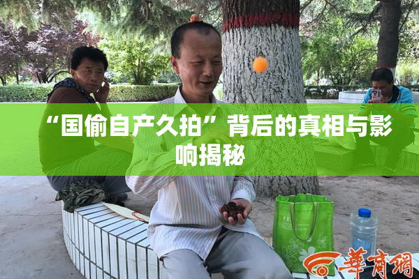 “国偷自产久拍”背后的真相与影响揭秘