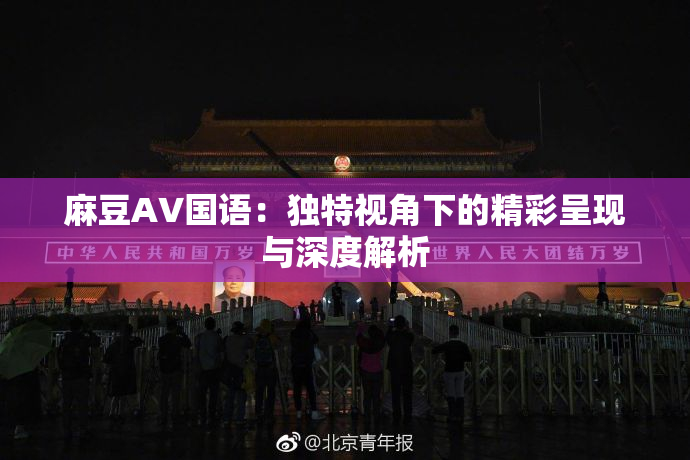 麻豆A∨国语：独特视角下的精彩呈现与深度解析