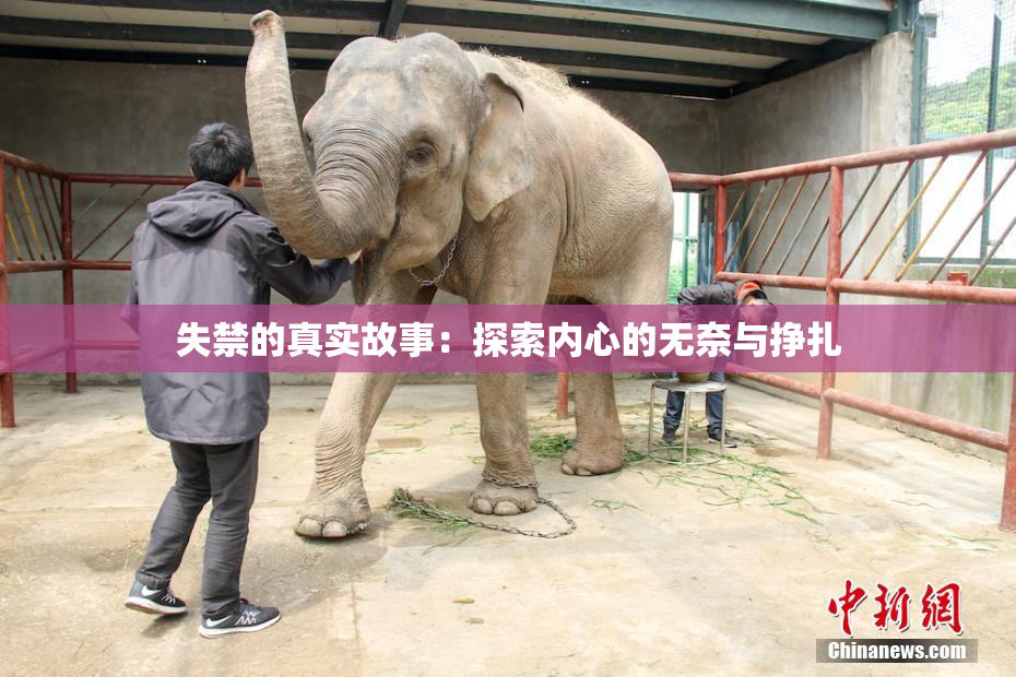 失禁的真实故事：探索内心的无奈与挣扎