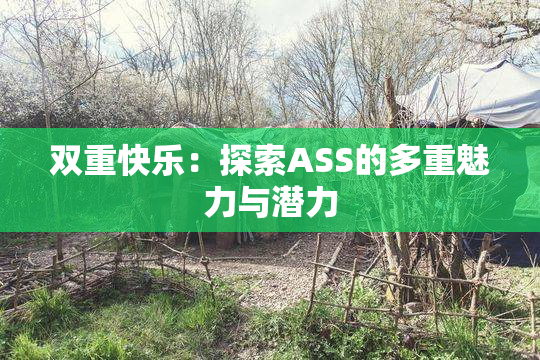 双重快乐：探索ASS的多重魅力与潜力