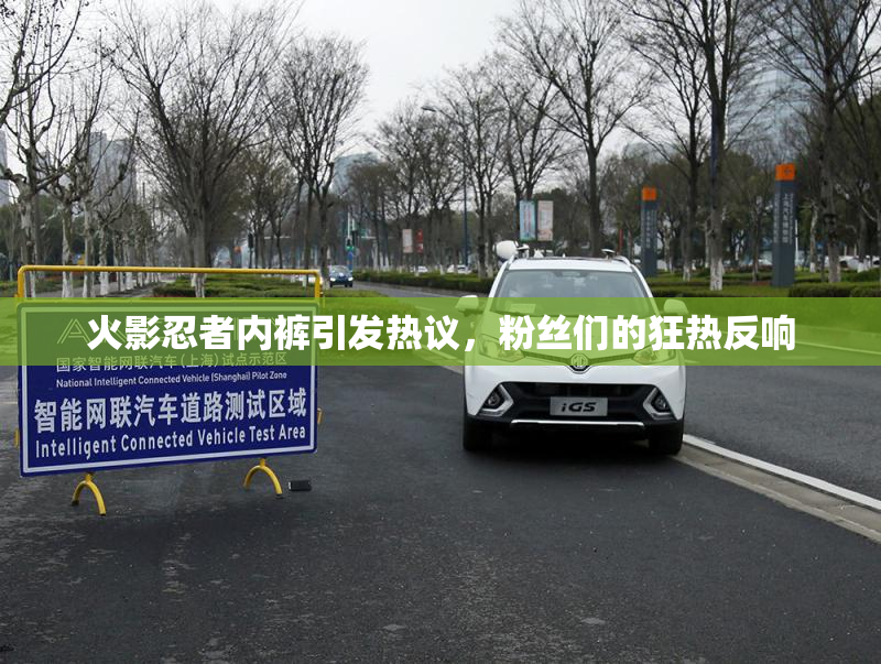 火影忍者内裤引发热议，粉丝们的狂热反响