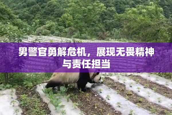 男警官勇解危机，展现无畏精神与责任担当