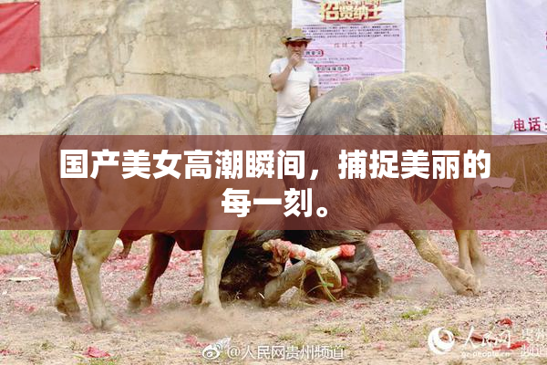 国产美女高潮瞬间，捕捉美丽的每一刻。