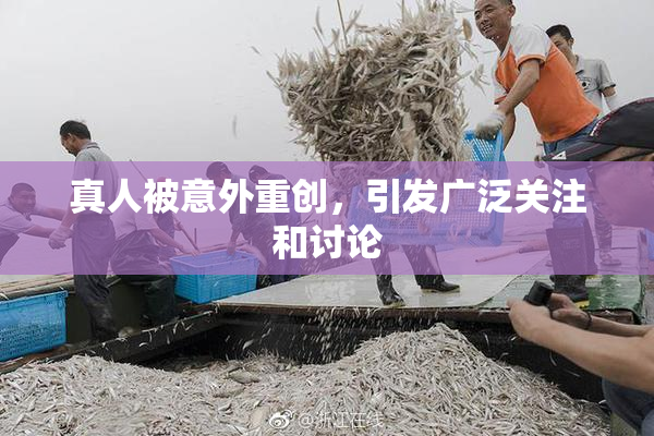 真人被意外重创，引发广泛关注和讨论