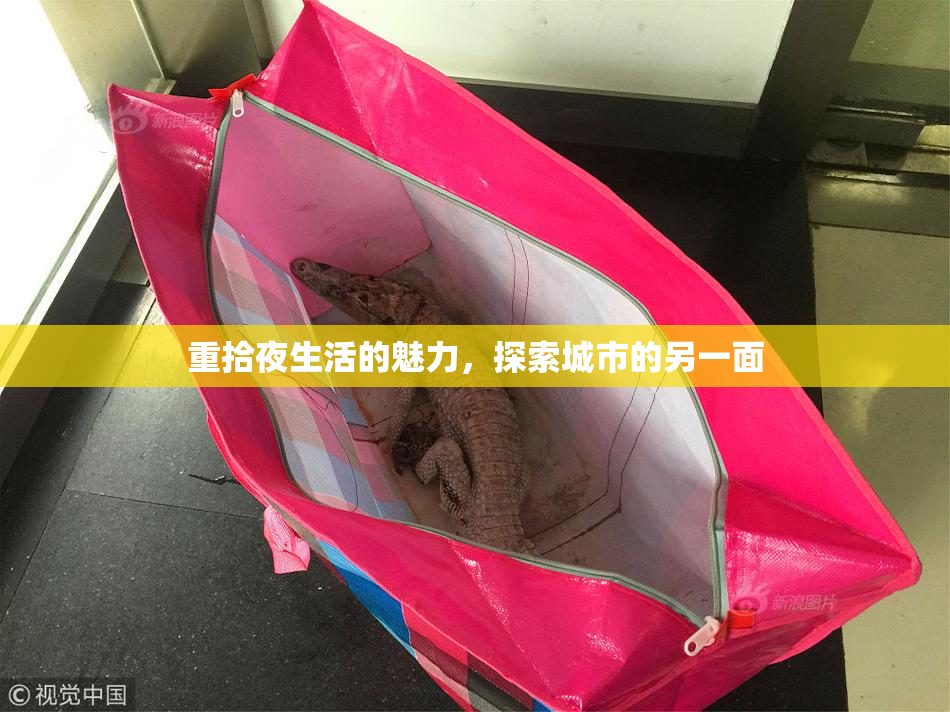 重拾夜生活的魅力，探索城市的另一面
