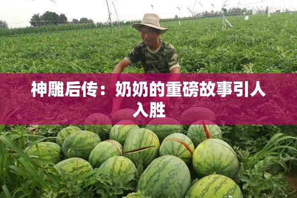 神雕后传：奶奶的重磅故事引人入胜