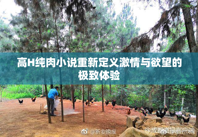 高H纯肉小说重新定义激情与欲望的极致体验