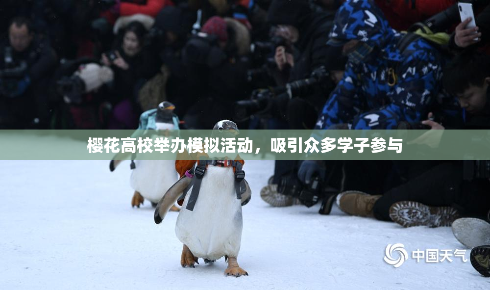 樱花高校举办模拟活动，吸引众多学子参与