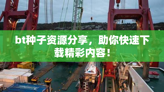 bt种子资源分享，助你快速下载精彩内容！