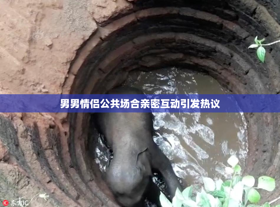男男情侣公共场合亲密互动引发热议