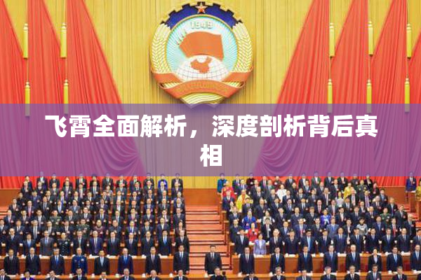 飞霄全面解析，深度剖析背后真相