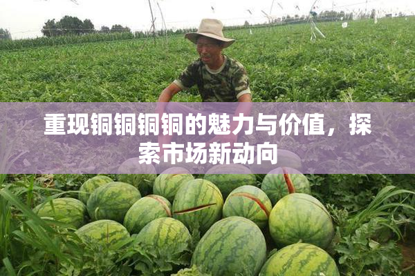 重现铜铜铜铜的魅力与价值，探索市场新动向
