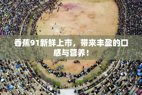 香蕉91新鲜上市，带来丰盈的口感与营养！