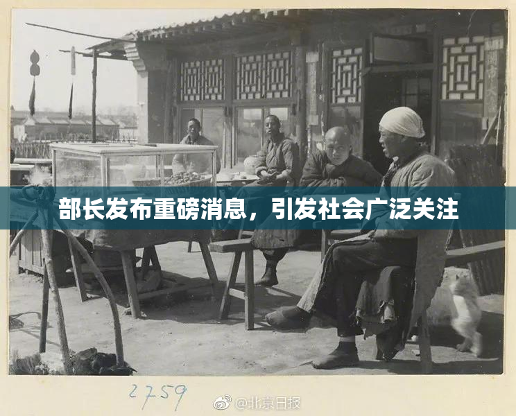 部长发布重磅消息，引发社会广泛关注