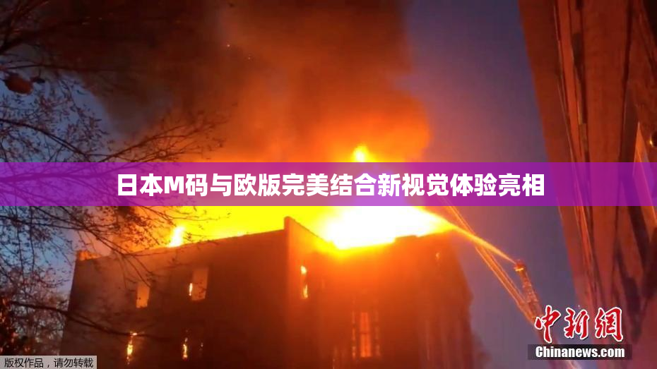 日本M码与欧版完美结合新视觉体验亮相