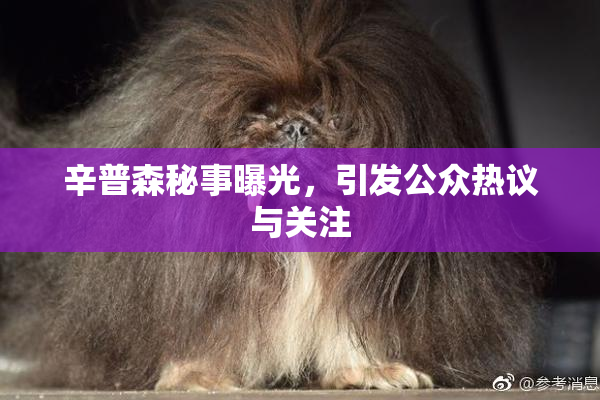 辛普森秘事曝光，引发公众热议与关注