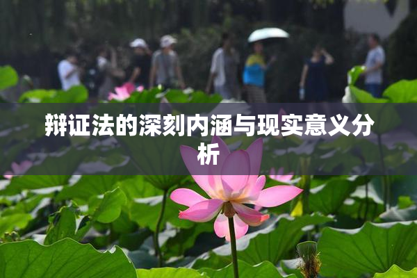 辩证法的深刻内涵与现实意义分析