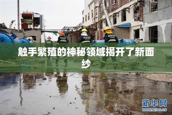 触手繁殖的神秘领域揭开了新面纱